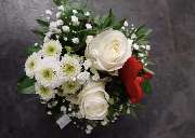 Blumenwunder - GALLERY