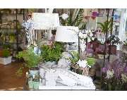 Blumenzauber Kaminski - GALLERY