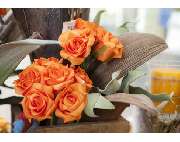 Blumenzauber Kaminski - GALLERY