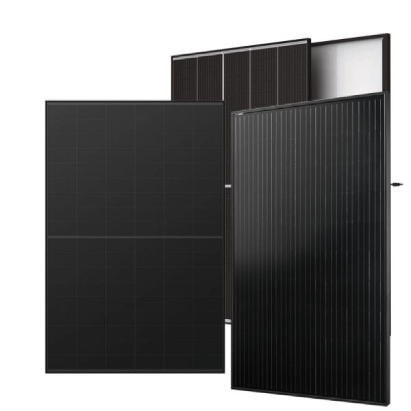 BLZMontage - GALLERY