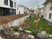 B&M Garten- und Landschaftsbau - 7