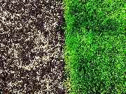 Bm Gartenservice - 4