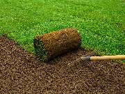 Bm Gartenservice - 5