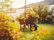 Bm Gartenservice - 6