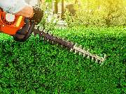 Bm Gartenservice - 6