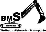 BMS GmbH - BMS GmbH