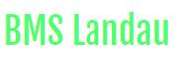 BMS Landau - 1