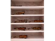 Bochumer Symphoniker - GALLERY