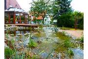BODIN Garten- u. Landschaftsbau - GALLERY