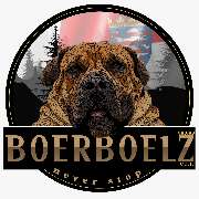 südafrikanischer Boerboel Budgess
