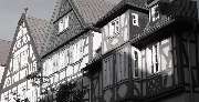 Bogsch Immobilien - GALLERY