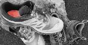 Boie - Sports - GALLERY