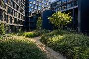 Bonin Gardens - 3
