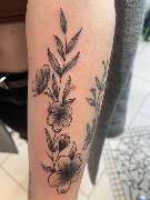 BOOM: The Tattoo Company GmbH - 123
