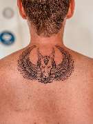 BOOM: The Tattoo Company GmbH - 70