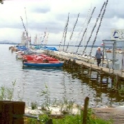 Bootsverleih Kielhorn / Bootsliegeplätze Steg N 21 - Steg N 21 in Mardorf am Steinhuder Meer