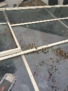 BOSS Gebäudeservice Inh. Milorad Jovanovic - GALLERY