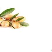 Boualag und Kharbouch GbR - GALLERY