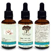 Boualag und Kharbouch GbR - GALLERY