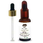 Boualag und Kharbouch GbR - GALLERY