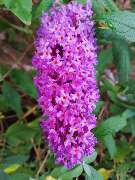 Boualag und Kharbouch GbR - GALLERY