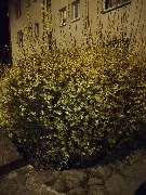 Boualag und Kharbouch GbR - GALLERY