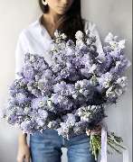 Bouqueteria - GALLERY