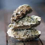 Boutique de Bretagne - GALLERY