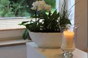 Boutique Hotel Rosengarten Hamburg - Ambiente im Boutique Hotel Rosengarten Hamburg