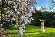 Boutique Hotel Rosengarten Hamburg - Der Garten des Boutique Hotel Rosengarten Hamburg