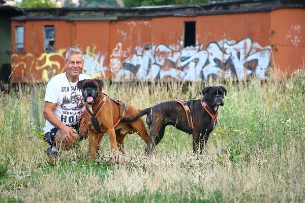Boxerzwinger vom Wettiner Eck - GALLERY