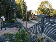 Bräuer-Zaunkönig - 5