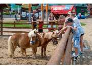 Bratwurstmuseum Betriebs-GmbH - GALLERY