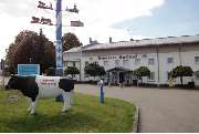 Brauerei Gasthof Gut Forsting - GALLERY