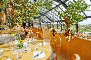 Brauereigaststätte Waldhaus Rhoda - GALLERY