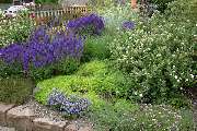 Braun Garten- und Landschaftsbau GmbH - GALLERY