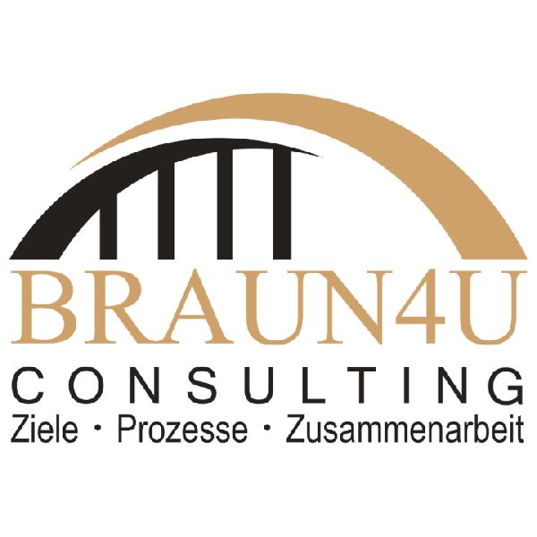 braun4u-consulting - LOGO