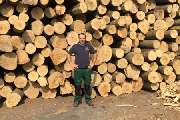Brennholz Friedrich - 6