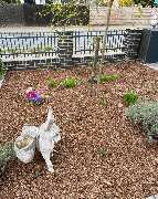 Brennholz Friedrich - 8