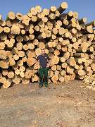 Brennholz Friedrich - Brennholz-Friedrich