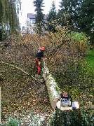 Brennholzhandel Mundinger - 3