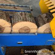 brennholzrasch.de - GALLERY