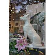 Brillen - Mosqua GmbH - GALLERY