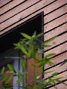 Britta Tölke – Architekturbüro - Bild 1 - Architektur