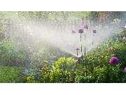 Broxtermann Garten - u. Landschaftsbau GmbH & Co KG - GALLERY