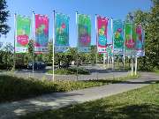 Bruder Werbung - GALLERY