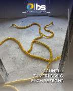 BS Schadensmanagement - GALLERY