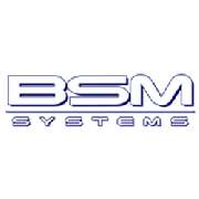 BSM Systems GmbH - LOGO