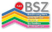 BSZ Berufliches Schulzentrum Regensburger Land - LOGO