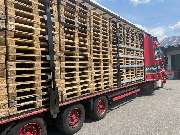 BTL Palettenservice - GALLERY
